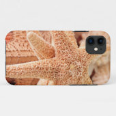 Coques Case-Mate iPhone Étoiles de mer séchées vendues comme souvenirs 2 (Dos (Horizontal))