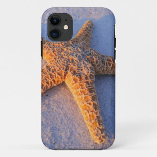 Coque iPhone 11 Étoiles de mer sur le sable blanc