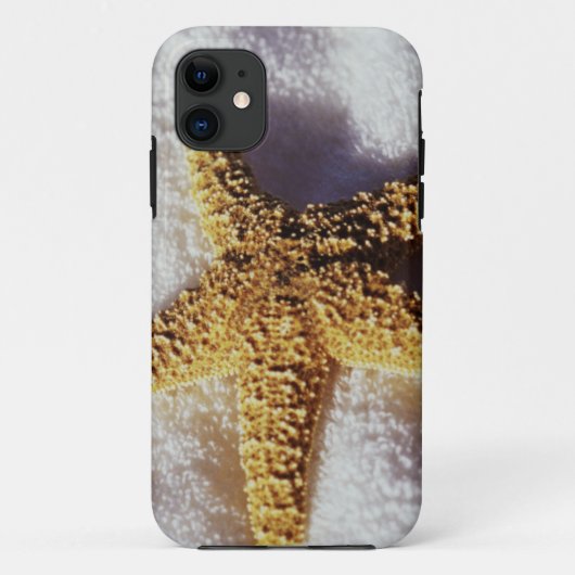 Coques Case-Mate iPhone Étoiles de mer sur une serviette (Dos)