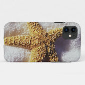 Coques Case-Mate iPhone Étoiles de mer sur une serviette (Dos (Horizontal))