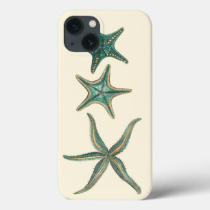 Etui iPhone 13 Étoiles de mer triples bleu vert