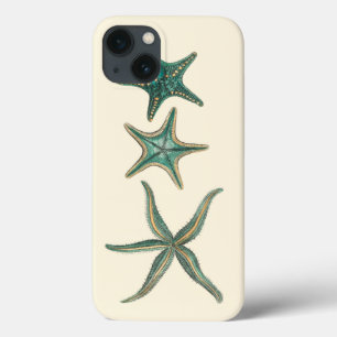 iPhone 13 Case Étoiles de mer triples bleu vert