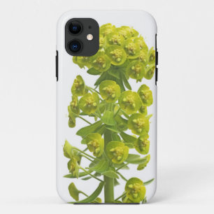 Coque iPhone 11 Euphorbe