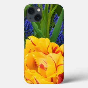 iPhone 13 Coque Europe, Netherlands, Lisse. Tulips