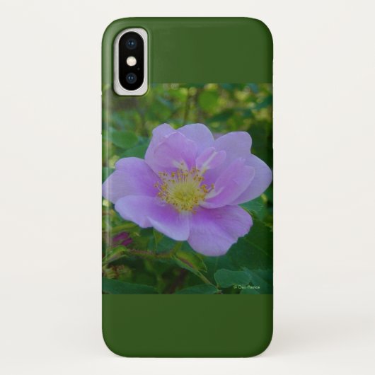 Coques Case-Mate iPhone F37 Rose Sauvage (Dos)