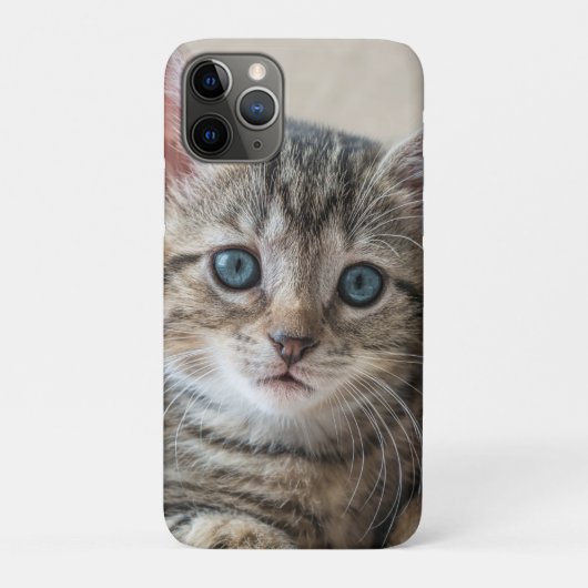 Coques Case-Mate iPhone Face de chat mignonne (Dos)