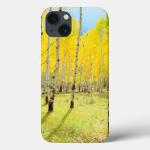 Case-Mate iPhone Case Fall colors of Aspen trees 4