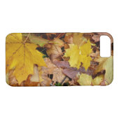 Coques Case-Mate iPhone Fallen Maple Feuille Jaune Automne Nature (Dos (Horizontal))