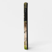 Coques Case-Mate iPhone Fallow Deer at Holkham Park in Norfolk England UK (Dos/Gauche)