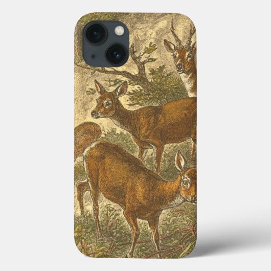 Coques Case-Mate iPhone Famille de Roe - Cerfs dans une forêt (Verso)