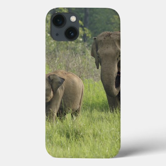 Coques Case-Mate iPhone Famille d'éléphants indiens (Verso)