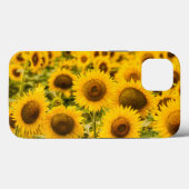 Coques Case-Mate iPhone Farms | A Sunflower (Verso (horizontal))