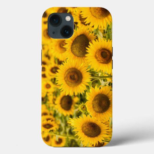 Coques Case-Mate iPhone Farms | A Sunflower (Verso)