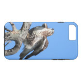 Coques Case-Mate iPhone Faucon de queue rousse juvénile (Dos (Horizontal))