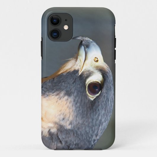 Coques Case-Mate iPhone Faucon pérégrin dans le profil (Dos)