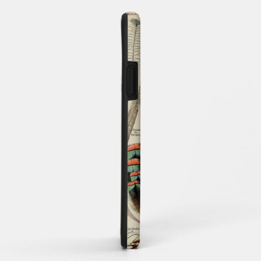 Coques Case-Mate iPhone Feather Bird Wildlife Plumes d'antiquités (Dos/Droite)