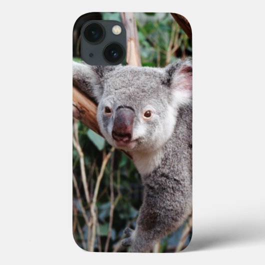 Coques Case-Mate iPhone Featherdale Wildlife Park, Koala Bears (Verso)
