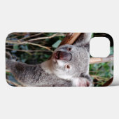 Coques Case-Mate iPhone Featherdale Wildlife Park, Koala Bears (Verso (horizontal))