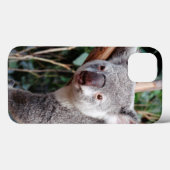 Coques Case-Mate iPhone Featherdale Wildlife Park, Koala Bears (Verso (horizontal))