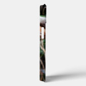 Coques Case-Mate iPhone Featherdale Wildlife Park, Koala Bears (Verso / Droite)
