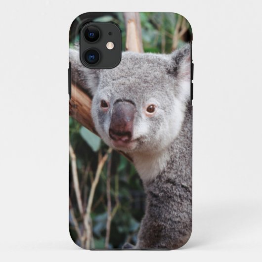 Coques Case-Mate iPhone Featherdale Wildlife Park, Koalas (Dos)