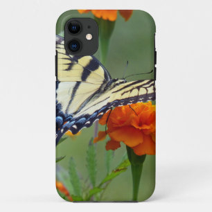 Coque iPhone 11 Femelle jaune Tigre de l'Est Swallowtail