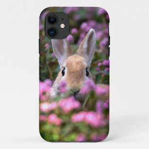 Coque iPhone 11 Ferme de lapins
