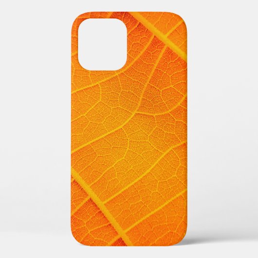 Coques Case-Mate iPhone fermeture Abstraite d'un texte feuille orange et j (Verso)