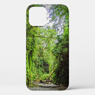 Case-Mate iPhone Case Fern Canyon Green Walls dans le parc national Redw
