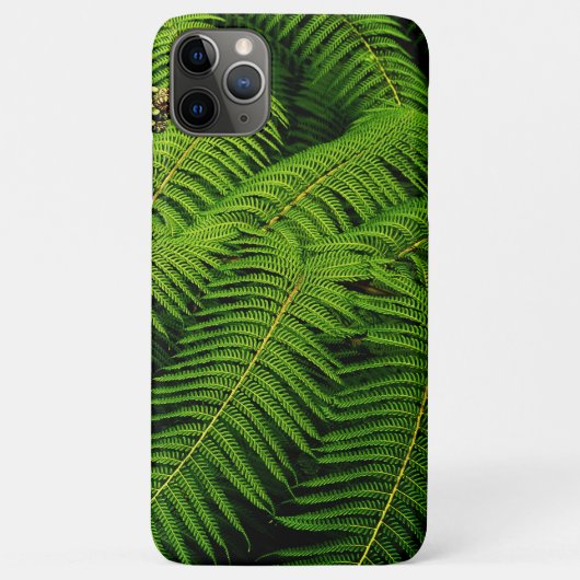 Coques Case-Mate iPhone Fern Feuille (Dos)