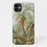 Ferns, Filicinae Laubfarne par Ernst Haeckel