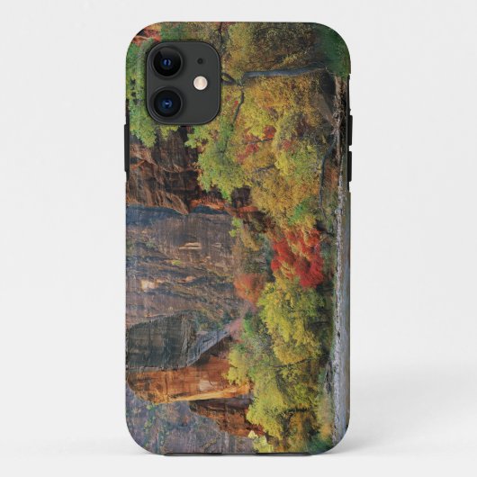 Coques Case-Mate iPhone Feuillage d'automne le long de la rivière Virgin p (Dos)