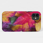 Coques Case-Mate iPhone Feuille d'automne #2 (Dos (Horizontal))