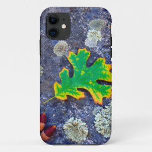Etui iPhone Case-Mate Feuille de chêne et glands sur une roche couverte