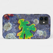 Coques Case-Mate iPhone Feuille de chêne et glands sur une roche couverte (Dos (Horizontal))