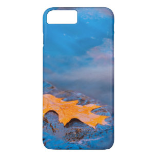 Case-Mate iPhone Case Feuille de chêne sur rocher dans la rivière Rossea