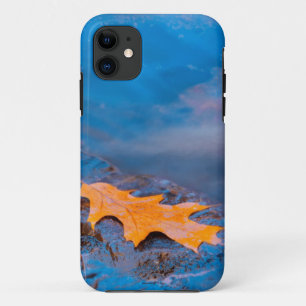 Coque iPhone 11 Feuille de chêne sur rocher dans la rivière Rossea