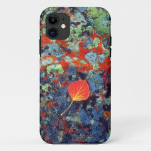 Coque iPhone 11 Feuille de tremble sur une roche couverte de liche