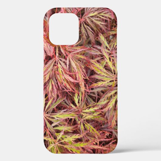 Coques Case-Mate iPhone Feuille d'érable japonaise (Verso)