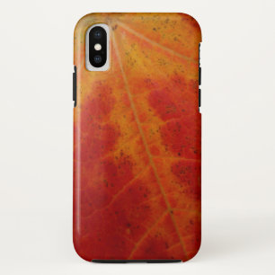 Case-Mate iPhone Case Feuille d'érable rouge Abstraite Automne Photograp