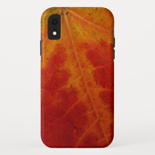 Coques Case-Mate iPhone Feuille d'érable rouge Abstraite Automne Photograp (Dos)