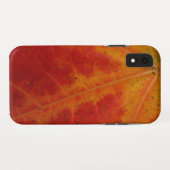 Coques Case-Mate iPhone Feuille d'érable rouge Abstraite Automne Photograp (Dos (Horizontal))