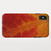 Coques Case-Mate iPhone Feuille d'érable rouge Abstraite Automne Photograp (Dos (Horizontal))