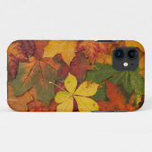 Coques Case-Mate iPhone Feuilles d'automne (Dos (Horizontal))