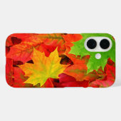 Coques Case-Mate iPhone Feuilles d'automne (Verso (horizontal))