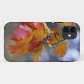 Coques Case-Mate iPhone Feuilles d'automne (Dos (Horizontal))