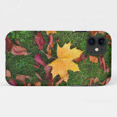 Coques Case-Mate iPhone Feuilles d'automne (Dos (Horizontal))