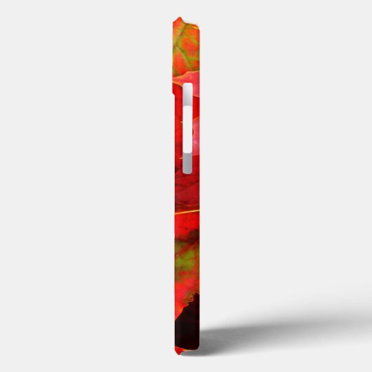 Coques Case-Mate iPhone Feuilles d'automne (Verso / Gauche)