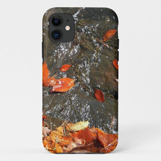 Coques Case-Mate iPhone Feuilles d'automne dans la cascade I Photographie  (Dos)