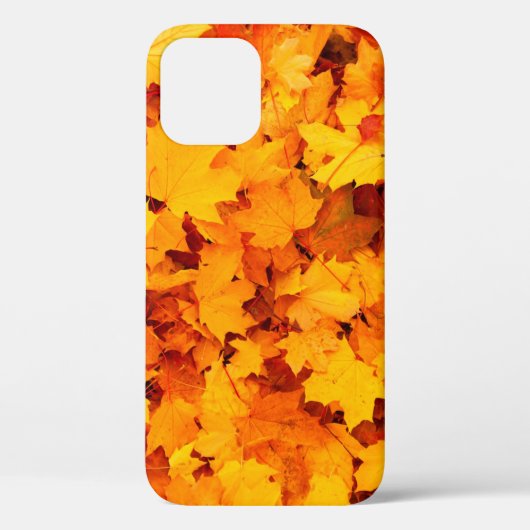 Coques Case-Mate iPhone Feuilles d'automne feuillage feuilles d'automne (Verso)